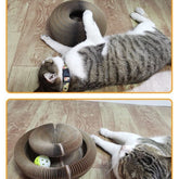 Лона коғази Cat corrugated ва Foldable